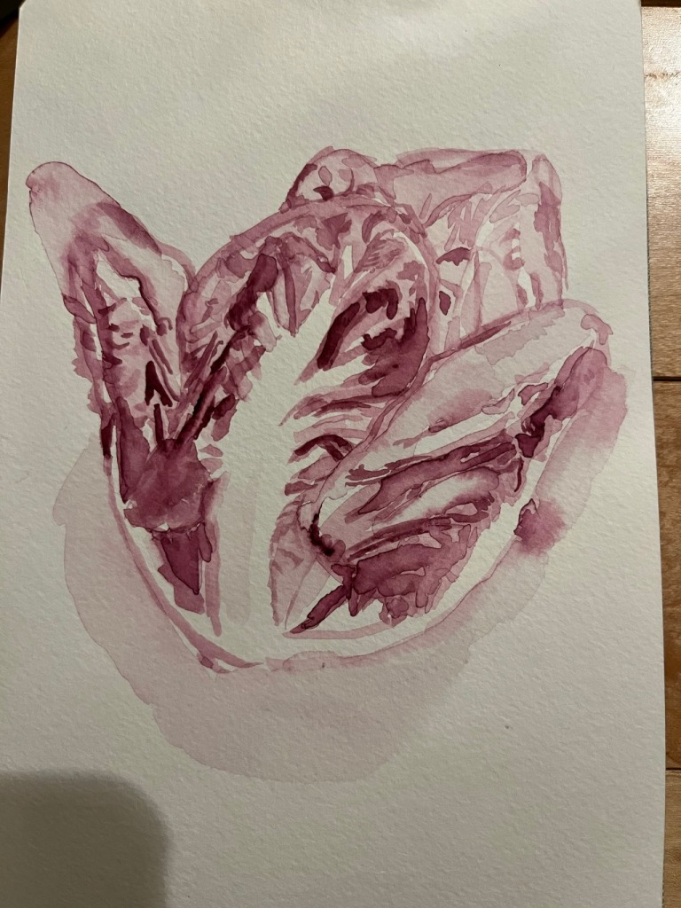 Radicchio in watercolor